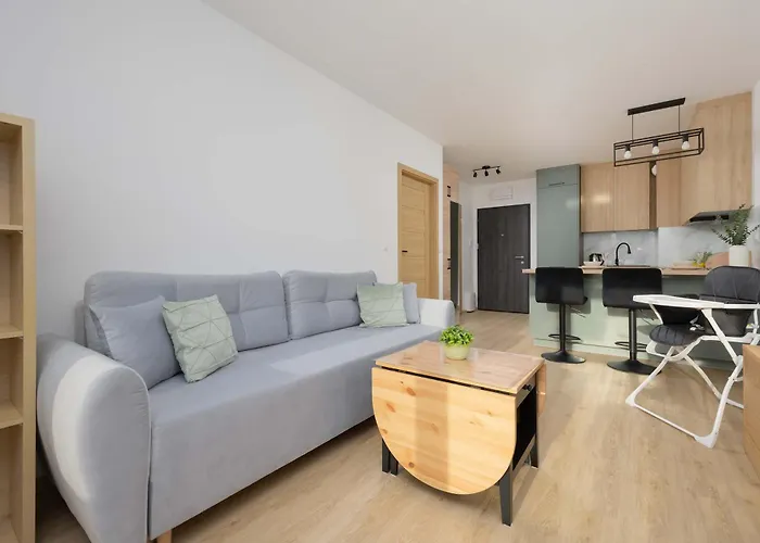 Stylish Habicha With Air Conditioning And Underground Parking By Renters * Warszawa